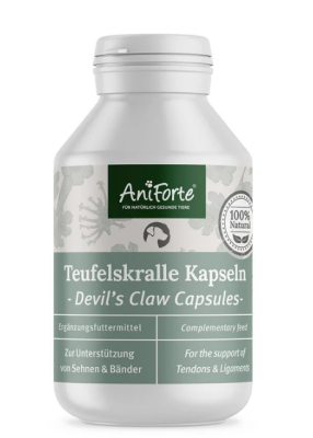 AniForte Teufelskralle Kapsel - 100 Stück