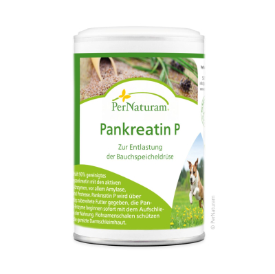 PerNaturam Pankreatin P 100 g