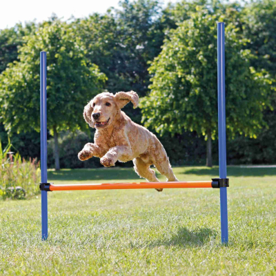 Trixie Fun Agility Hürde - 123 × 115 cm, ø 3 cm