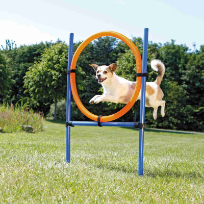 Trixie Fun Agility Ring - 115 × ø 3 cm, ø 65 cm