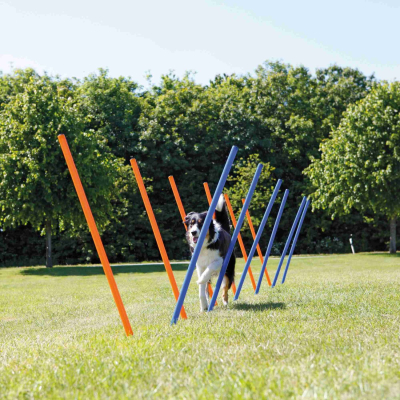 Trixie Fun Agility Slalom ø 3 cm x 115 cm, 12 Stück